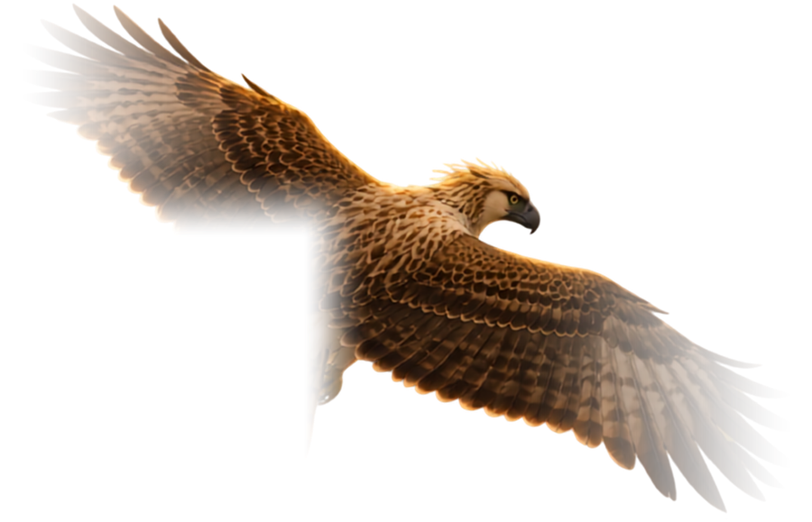 Eagle soaring above TCA